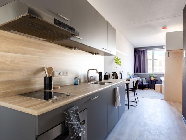 kamer in Utrecht, Reykjavikstraat