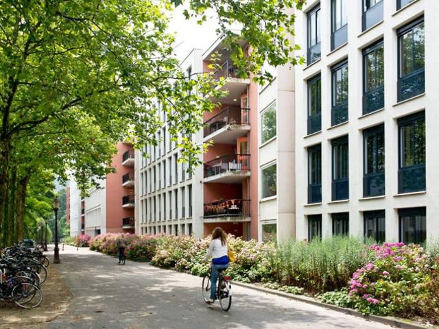 Kamer in Amsterdam