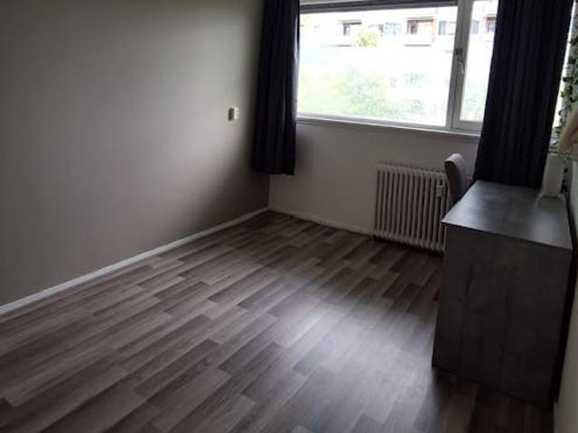 Kamer in Delft