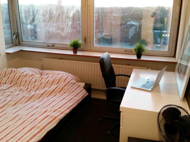Kamer in Delft