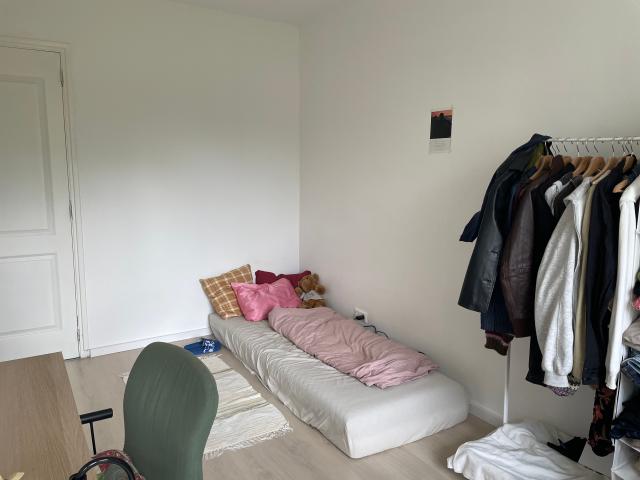 Kamer in een gedeeld appartement