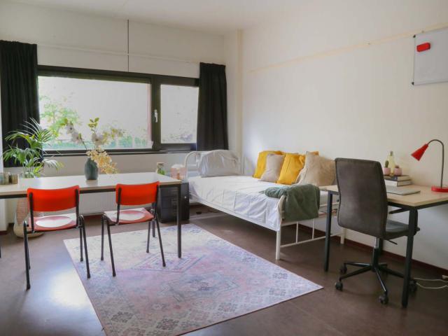 kamer in Eindhoven, Bomansplaats