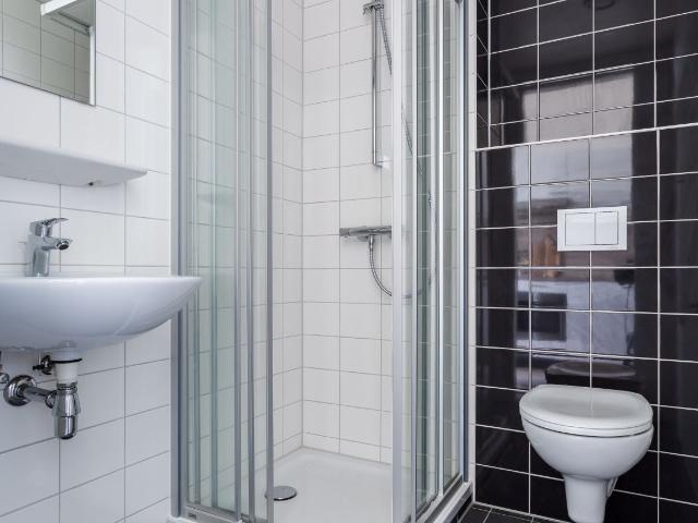 kamer in Eindhoven, De Lampendriessen