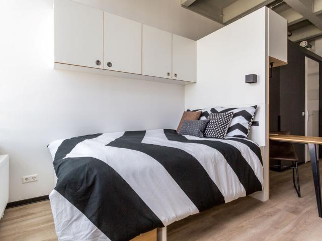 kamer in Eindhoven, De Lampendriessen