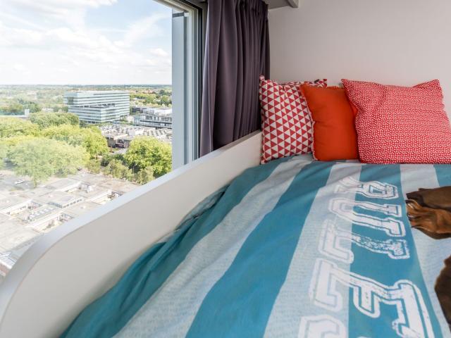 kamer in Eindhoven, De Lampendriessen