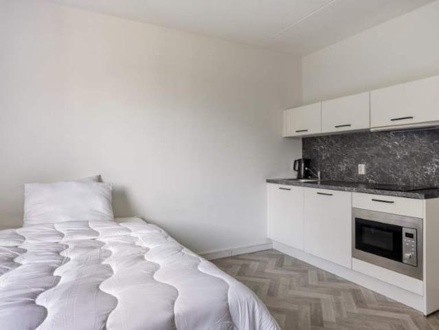 kamer in Geldrop, Bogardeind