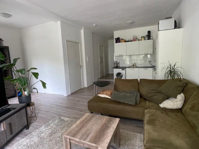 kamer in Groningen, Petrus Campersingel