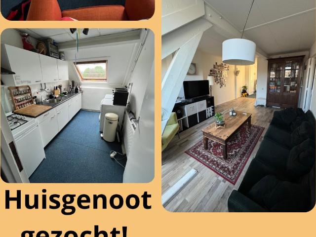 Kamer in Leiden