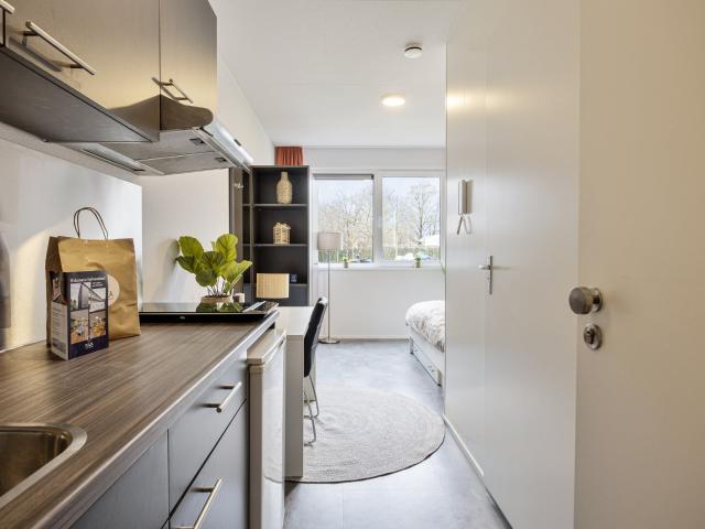 kamer in Maastricht, Sorbonnelaan