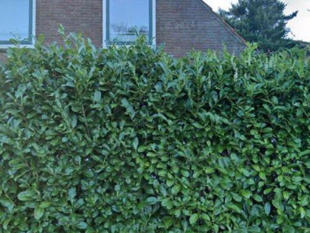 Kamer in Rhenen