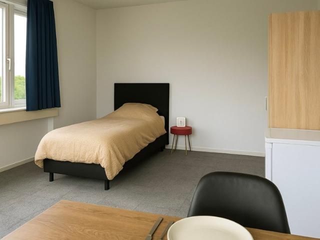 kamer in Rijswijk, Volmerlaan