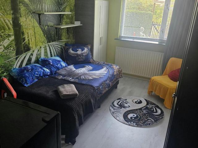 Kamer in Rotterdam