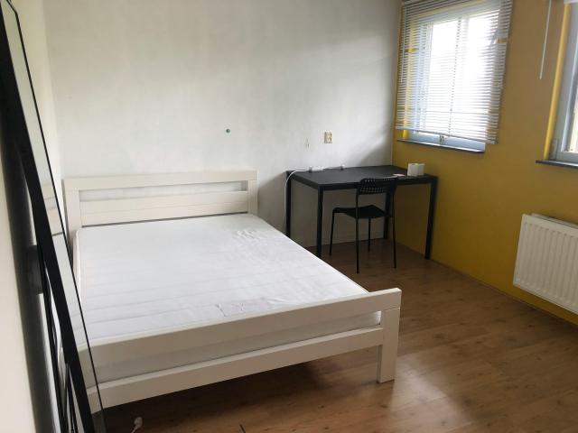 Kamer in Rotterdam
