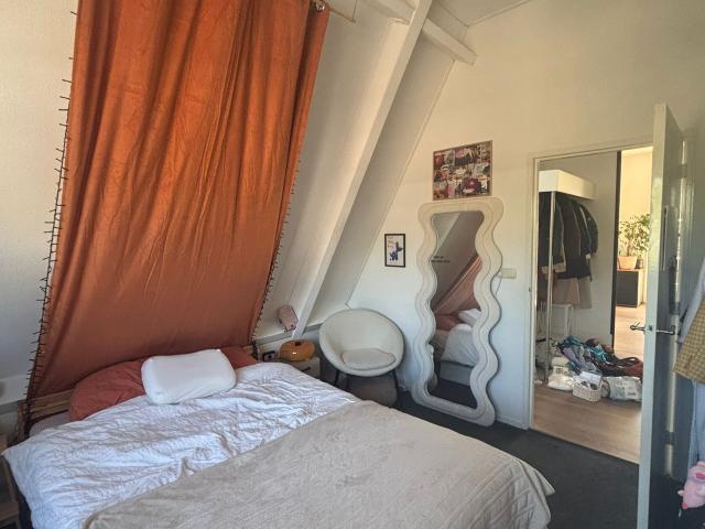 Kamer in ruim meidenappartement in Veenendaal