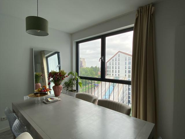 Kamer in ruim appartement vrouwelijk