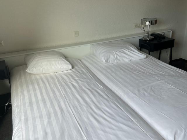 Kamer in 's Gravenhage