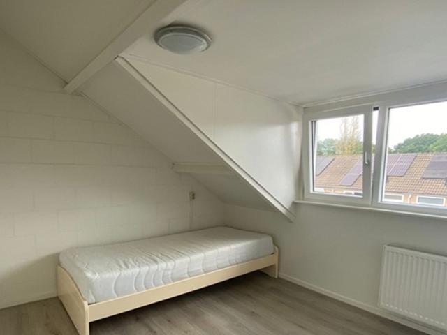 Kamer Meibeek in Tilburg