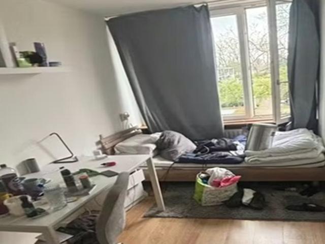 Kamer Paardebloem in Rotterdam