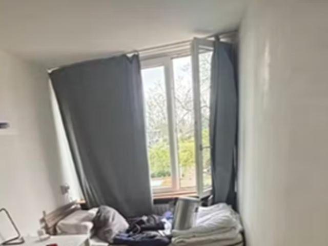 Kamer Paardebloem in Rotterdam
