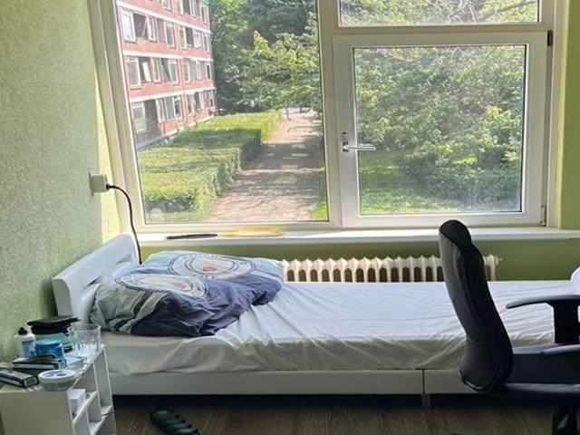 Kamer Ruigoord in Rotterdam