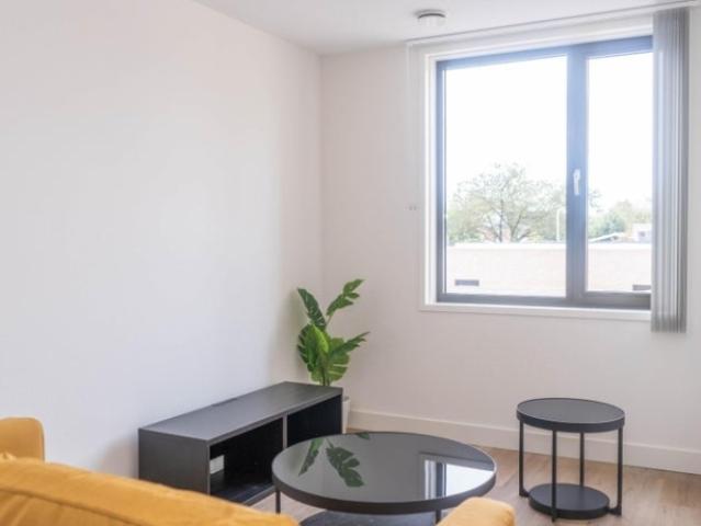 Kamer / Studio te huur in Tilburg