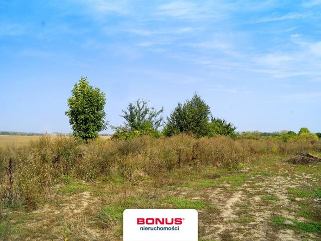 Działka 4955 m2 z warunkami zabudowy magazynowej i dostępem