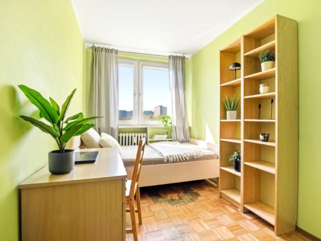Kamienna 53,43 m², Wrocław