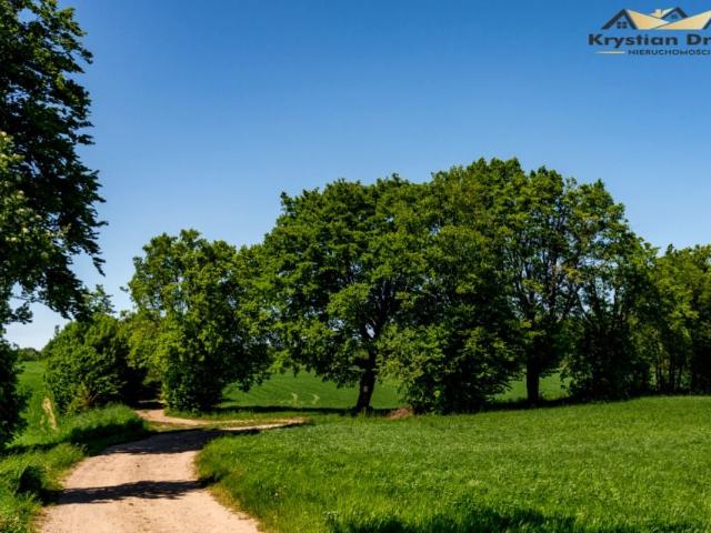 Kamienna 1 000 m², Połęczyno