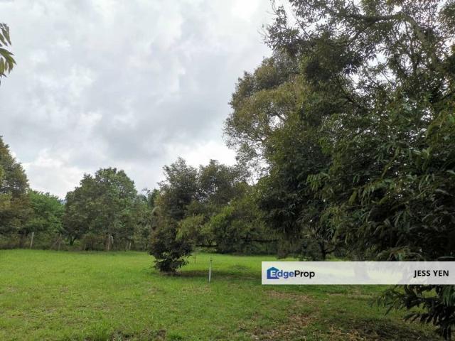 Kampung Mantin Dalam