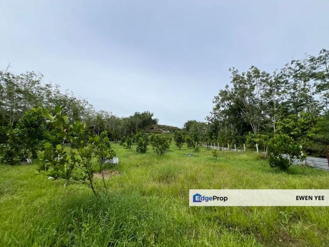 Kampung Ansun Jitra Kedah Agriculture Land For Sale