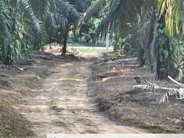 Kampung Jenderam Hulu