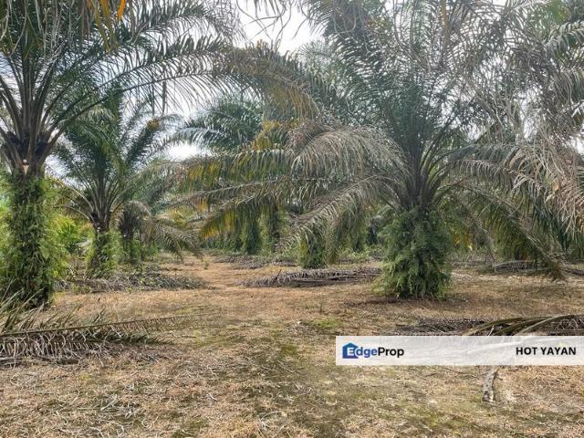 Kampung Jenderam Hulu