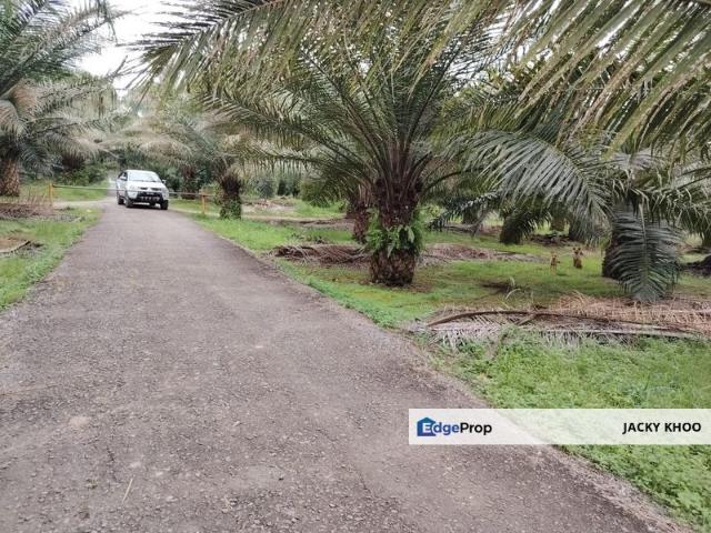 Kampung Jenjarom