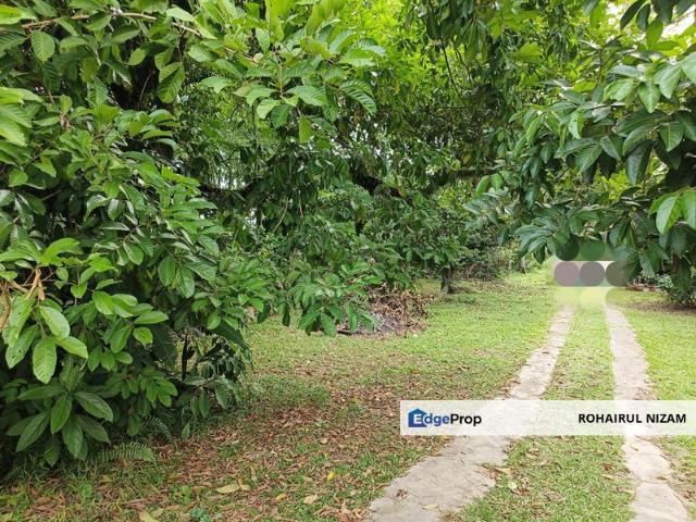Kampung Kuang