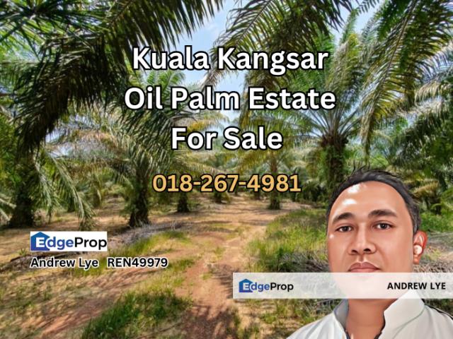 Kampung Kuala Dal