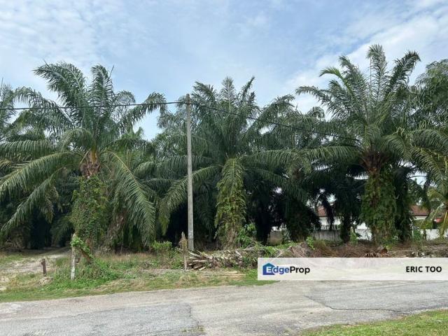 Kampung Koh
