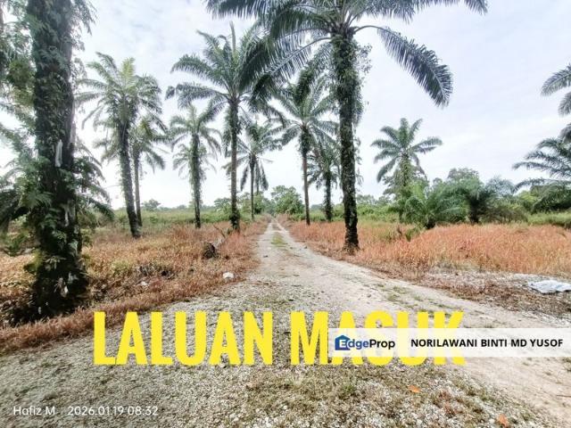 Kampung Parit Kassim