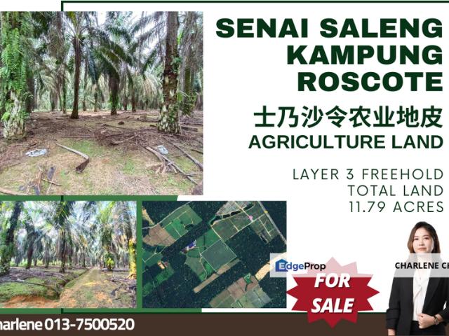 Kampung Roscote