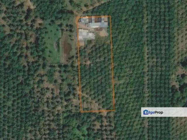 Kampung Sungai Ayer Hitam, Linggi Agricultural Land for Sale | Tanah Kelapa Sawit Bersama Ladang Fidlot, 3 Ekar