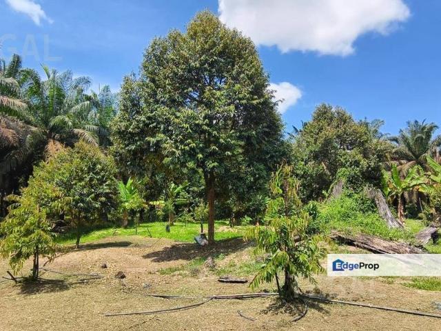 Kampung Sungai Klau