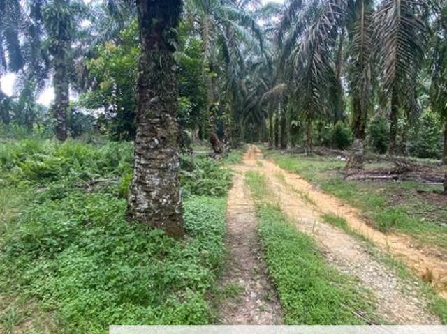 Kampung Seelong Jaya