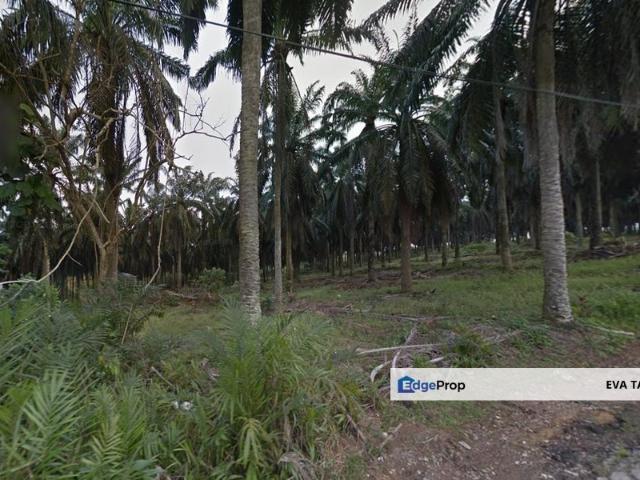 Kampung Seelong Jaya