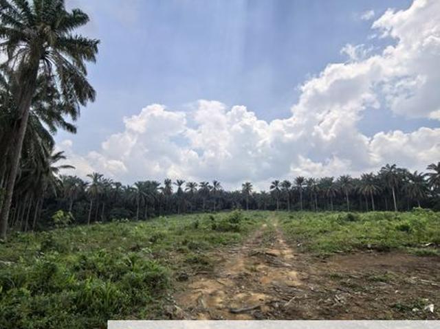 Kampung Seelong Jaya