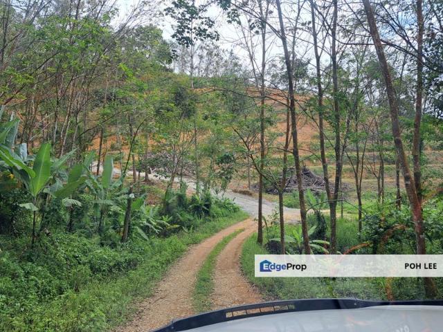 KAMPUNG TANJUNG, KARAK
