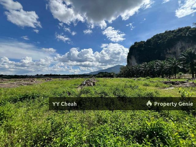 Kanthan Chemor, ipoh. Agriculture Land 25 acres