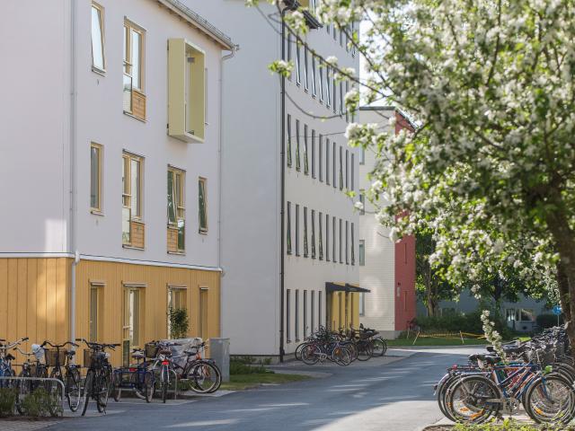 Kantorsgatan 68