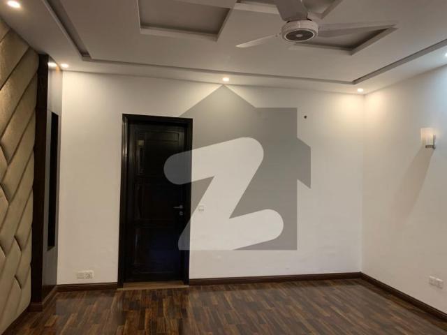 Kanal House Slightly Used Lush House Prime Location DHA Phase 6 Block D