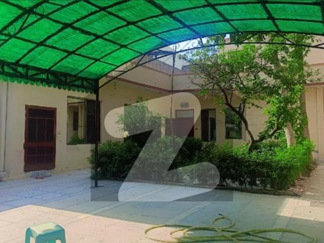 Kanal Single Storey House For Rent. Only Office Use Johar Town
