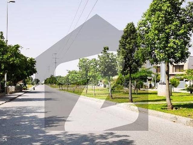 Kanal Solid Back Of Power Avenue Plot For Sale