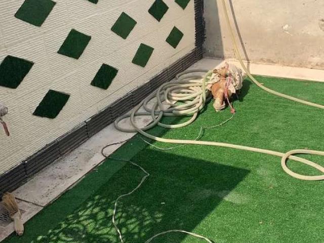 Kanal swimming pool home theater full basement house dha phase 5 lahor lahore dha phase 5 id 02674